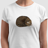Camiseta Gato Dorminhoco