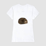 Camiseta Gato Dorminhoco