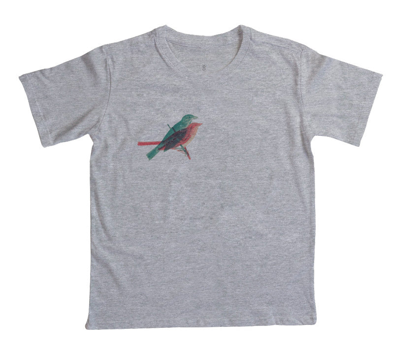 Camiseta Infantil Paralelo
