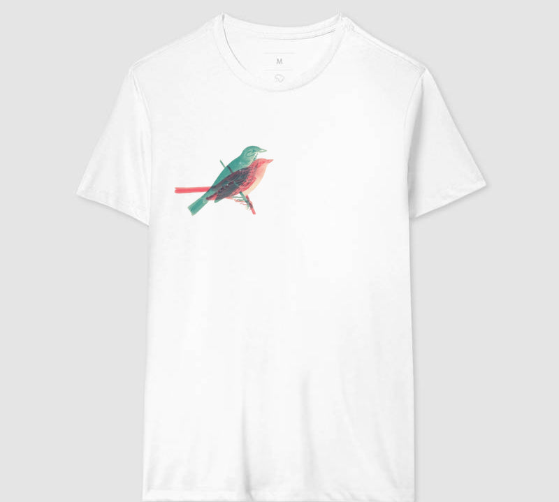 Camiseta Paralelo