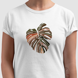 Camiseta Costela-De-Adão