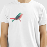 Camiseta Paralelo